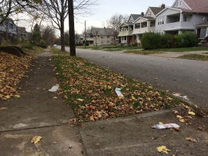 Desota Ave., Nov. 17. There are at least 11 copies in this photo, of which only one made it onto private property. Can you find them all?